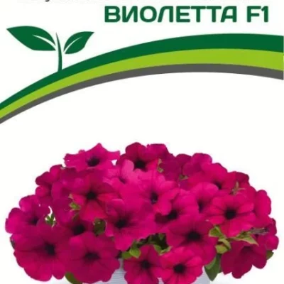 Партнер Петуния серия "Итальянка" ВИОЛЕТТА F1 /многоцветковая каскадная фиолетовая ^(5шт в амп)