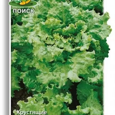 Салат Тайфун листовой 1г Ср (Поиск)