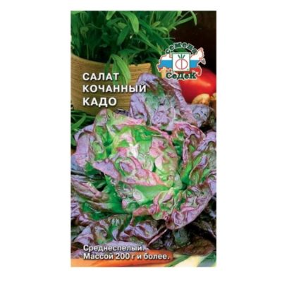 Салат Кадо кочанный 1г Ср (Седек)