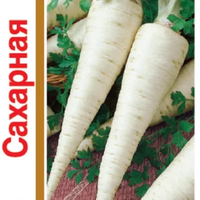 Петрушка Сахарная корневая 4г Ранн (Гавриш) 1+1