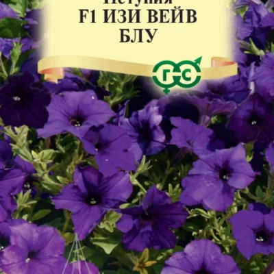 Петуния Изи Вейв F1 Блу (Минитуния) 4шт суперкаскад Одн (Гавриш) Элитная клумба