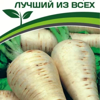 Пастернак Лучший из всех