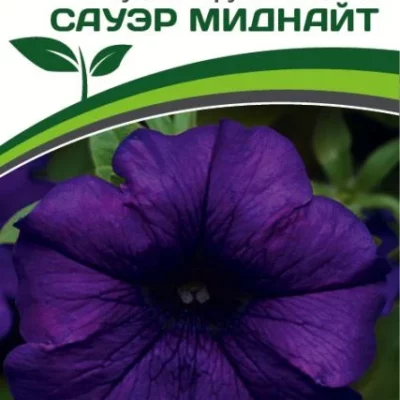 Партнер Петуния F1 САУЭР МИДНАЙТ / крупноцветковая кустовая^(10шт в амп)