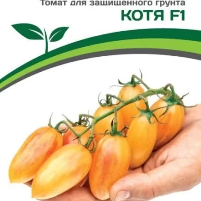 Томат Котя F1