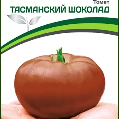 Томат Тасманский Шоколад