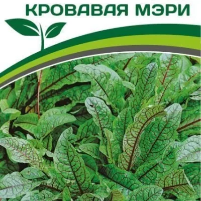 Щавель Кровавая Мэри