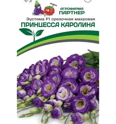 Партнер Эустома F1 срезочная махровая ПРИНЦЕССА КАРОЛИНА ^(5шт в амп)