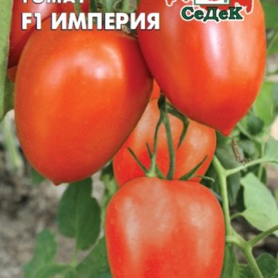 Томат Империя F1 0,05г Индет Ср (Седек)