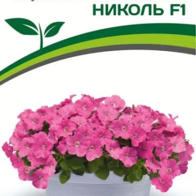 Петуния "МиМи" Николь F1 каскадная византийский розовый