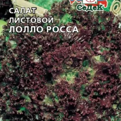 Салат Лолло Росса листовой 0,5г Ранн (Седек)