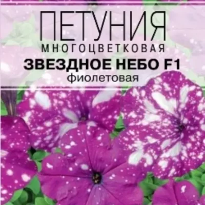 Петуния Звездное небо F1 фиолетовая 7шт 25см (Цвет сад)