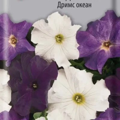 Петуния Дримс Океан грандифлора 20шт Одн 50см (Поиск)