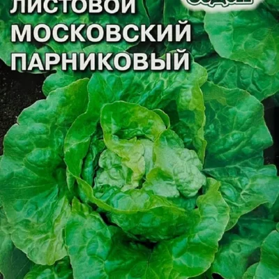 Салат Московский Парниковый листовой 0,5г Ср (Седек)