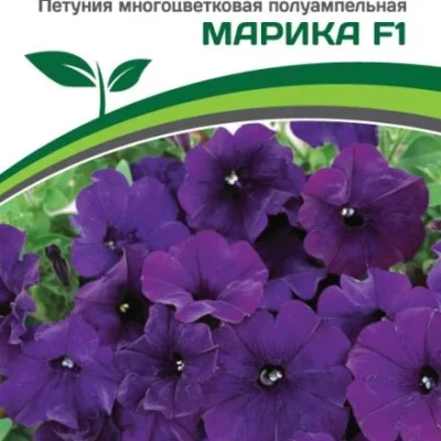 Партнер Петуния серия "Ма Шери" МАРИКА F1 / многоцветковая полуампельная^(5шт в амп)