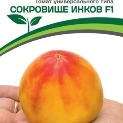 Томат Сокровище Инков F1 10шт Индет Ранн (Партнер)