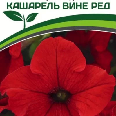 Партнер Петуния F1 КАШАРЕЛЬ ВИНЕ РЕД / крупноцветковая компактная^(10шт в амп)