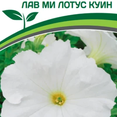 Партнер Петуния F1 КОЛЛЕКЦИЯ "ПЕЙЗАЖНАЯ" серия ЛАВ МИ ЛОТУС КУИН / крупноцветковая ^(10шт в амп)