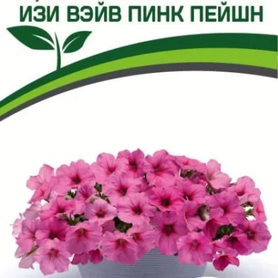 Петуния "Изи Вэйв" Пинк Пейшен F1 каскадно-ампельная розовая