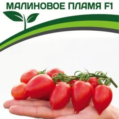Томат Малиновое Пламя F1