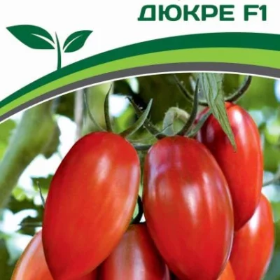 Томат Черри Дюкре F1
