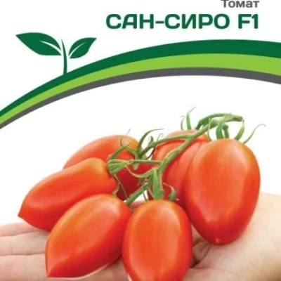 Томат Сан Сиро F1