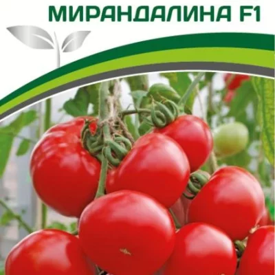Томат Сердце Минусинска 20шт Индет Ср (Сиб сад)