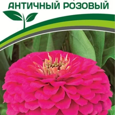 Партнер Цинния F1 АНТИЧНЫЙ РОЗОВЫЙ / георгиновидная ^(4шт) 2-ной пак