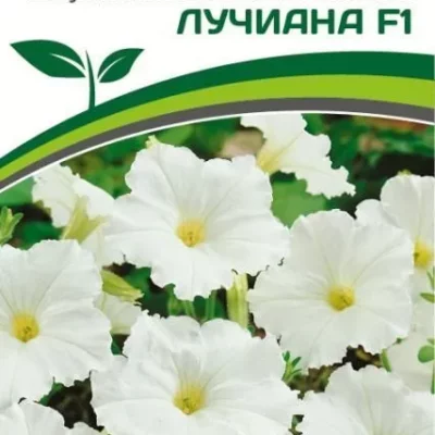 Партнер Петуния серия "Мими" ЛУЧИАНА F1 / многоцветковая каскадная^(5шт в амп)