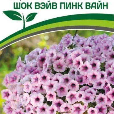Петуния  "Шок Вэйв" Пинк Вайн F1 многоцветковая каскадная