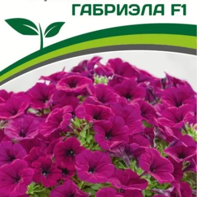 Партнер Петуния серия "Амбре" ГАБРИЭЛА F1 /многоцветковая каскадная ^(5шт в амп)