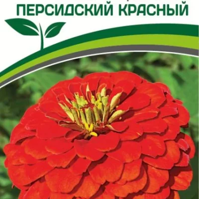Партнер Цинния F1 ПЕРСИДСКИЙ КРАСНЫЙ / георгиновидная ^(4шт) 2-ной пак