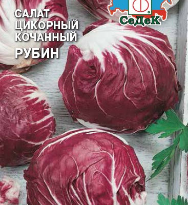 Салат цикорий Рубин (цикорный) 0,5г Ранн (Седек)