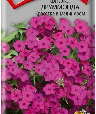 Флокс Красотка в малиновом друммонда 0,1г Одн 25см (Поиск)