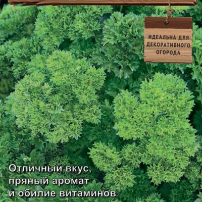 Петрушка Кадриль листовая 2г (Поиск)
