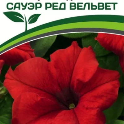 Партнер Петуния F1 САУЭР РЕД ВЕЛЬВЕТ / крупноцветковая кустовая^(10шт в амп)