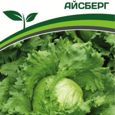 Салат кочанный Айсберг