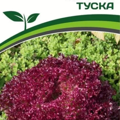 Салат листовой Туска