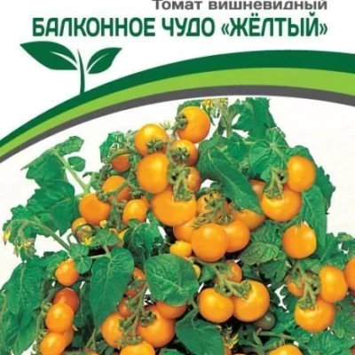 Томат Балконное Чудо (желтый)