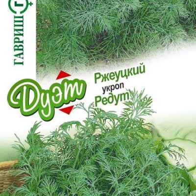 Укроп Редут+Ржеуцкий 4г (Гавриш) автор Дуэт