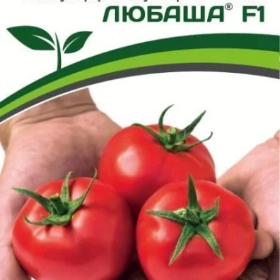 Томат Любаша F1 ®