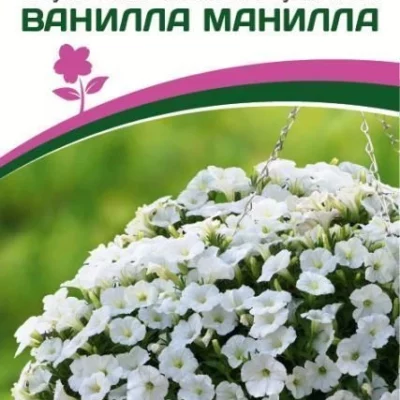 Петуния "Зацветёт" Middl Ванилла Манилла F1 полуампельная
