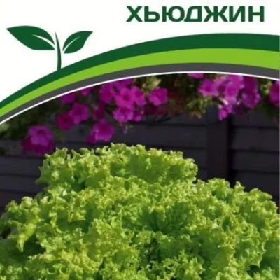 Салат листовой Хьюджин