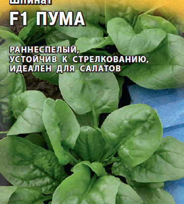 Шпинат Пума 1г Ранн (Гавриш) Голландия