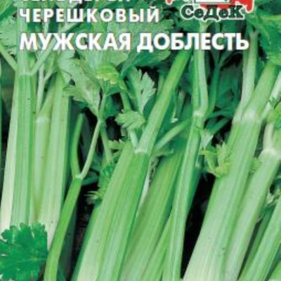 Сельдерей Мужская доблесть черешковый 0,5г Ранн (Седек)