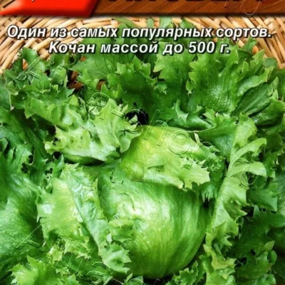 Салат Айсберг кочанный 0,5г Ср (Аэлита)