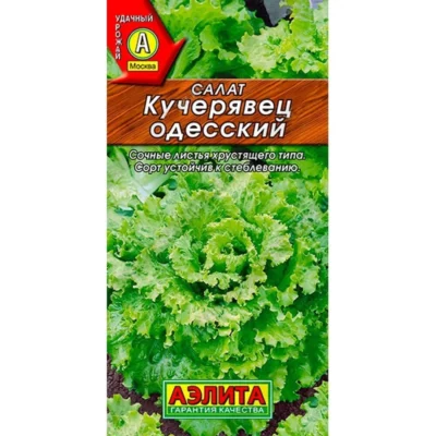 Салат Кучерявец одесский полукочанный 0,5г Позд (Аэлита)