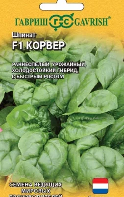 Шпинат Корвер F1 1г Ср (Гавриш) Голландия