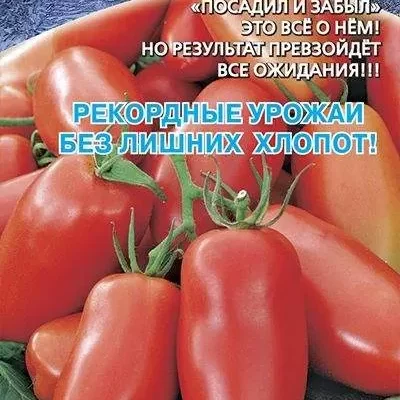 Томат Ни забот, ни хлопот 20шт Дет Ранн (УД)