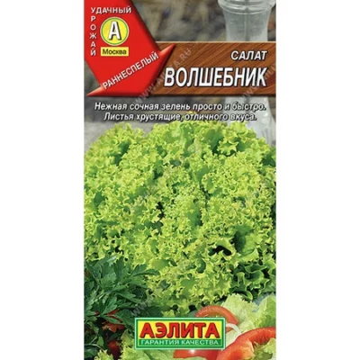 Салат Чародейка ® полукочанный 0.5г Ср (Аэлита)