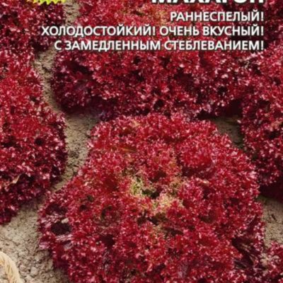 Салат Махагон листовой 0.25г Ранн (УД)